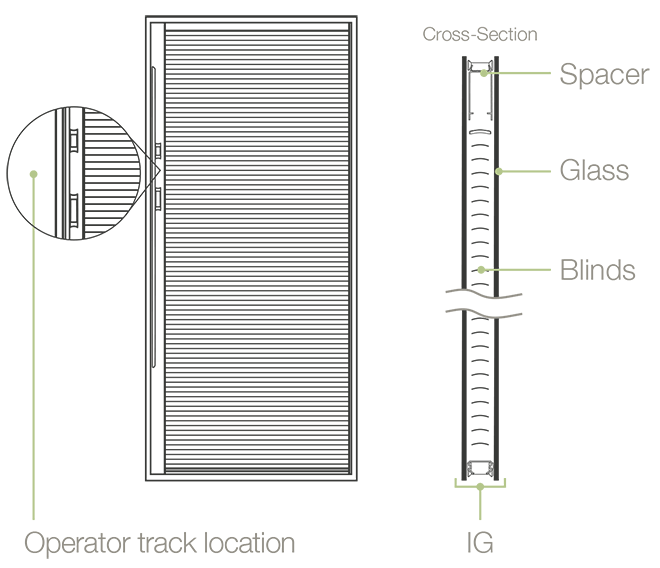 BBGdiagram