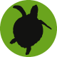 BigTurtleIcon
