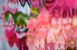 ClearSoftWave
