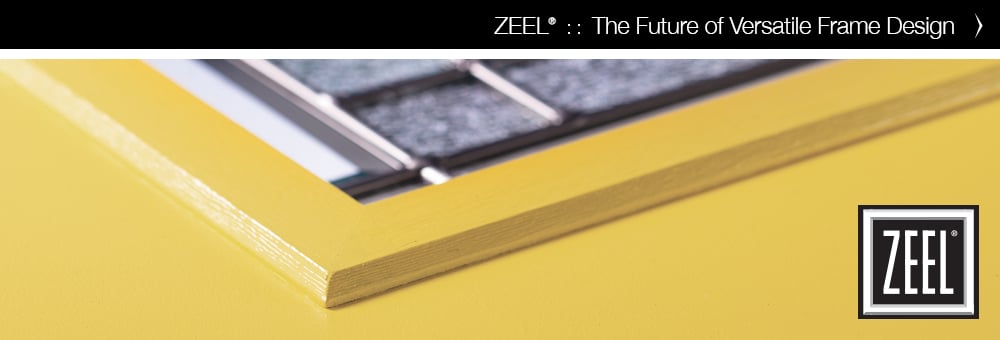 Zeel-2019